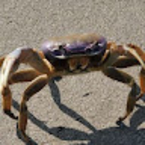 Meet your Posher, Bryan - Picture 1 of 1